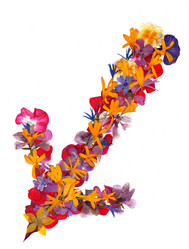 Similar image 21042696