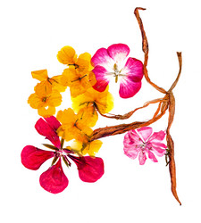 Similar image 21042697