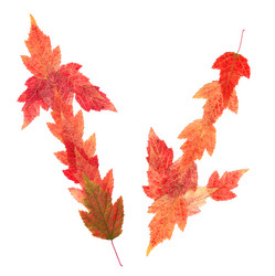 Similar image 21042700