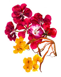 Similar image 21042701