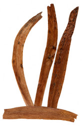 Similar image 21042706