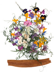 Similar image 21042708