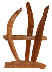 Similar image 21042710