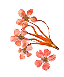 Similar image 21042711