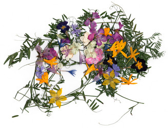 Similar image 21042712