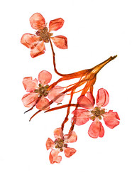 Similar image 21042713