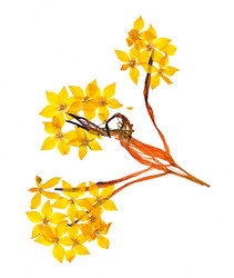 Similar image 21042715