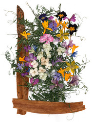 Similar image 21042716