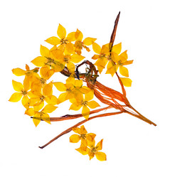 Similar image 21042717