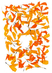 Similar image 21042797