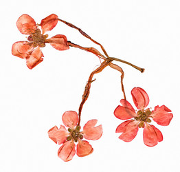 Similar image 21042798