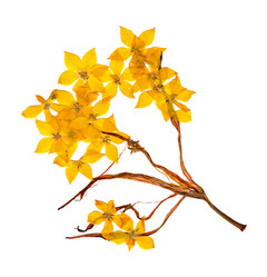 Similar image 21042800