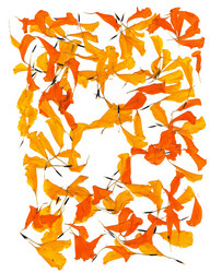 Similar image 21042801