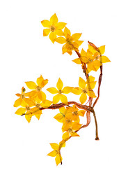 Similar image 21042802