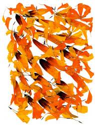 Similar image 21042803