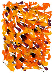 Similar image 21042805