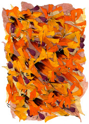 Similar image 21042807