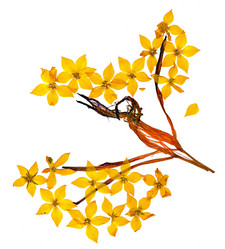 Similar image 21042808