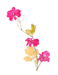 Similar image 21042810