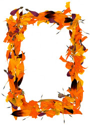 Similar image 21046900