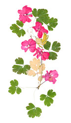 Similar image 21046901