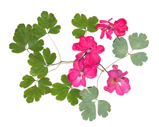 Similar image 21046903