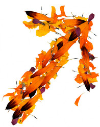 Similar image 21046904