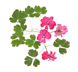 Similar image 21046905