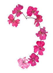 Similar image 21046906