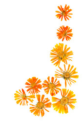 Similar image 21046909