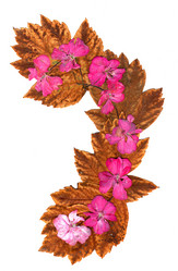 Similar image 21046910