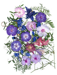 Similar image 21046912