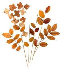 Similar image 21046913