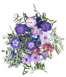 Similar image 21046914