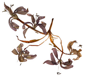 Similar image 21046915