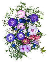 Similar image 21046916