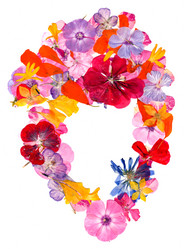 Similar image 21046920