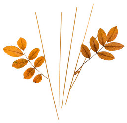 Similar image 21046921