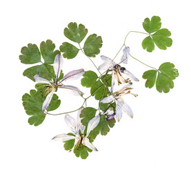 Similar image 21046928