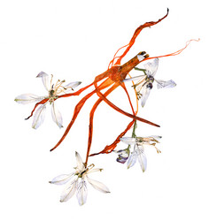 Similar image 21046930