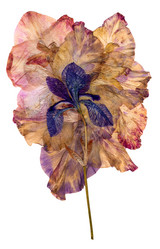 Similar image 21046931