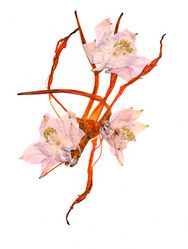 Similar image 21047162