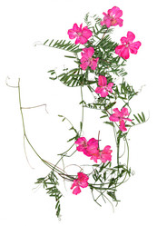 Similar image 21047163