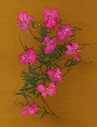 Similar image 21047164