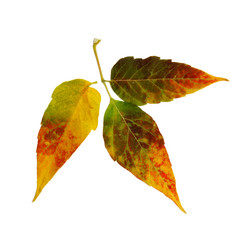 Similar image 21047167