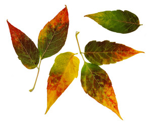 Similar image 21047169