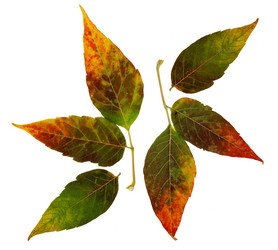 Similar image 21047170