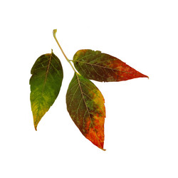 Similar image 21047174