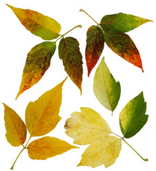 Similar image 21047178