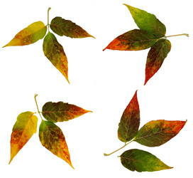 Similar image 21047182